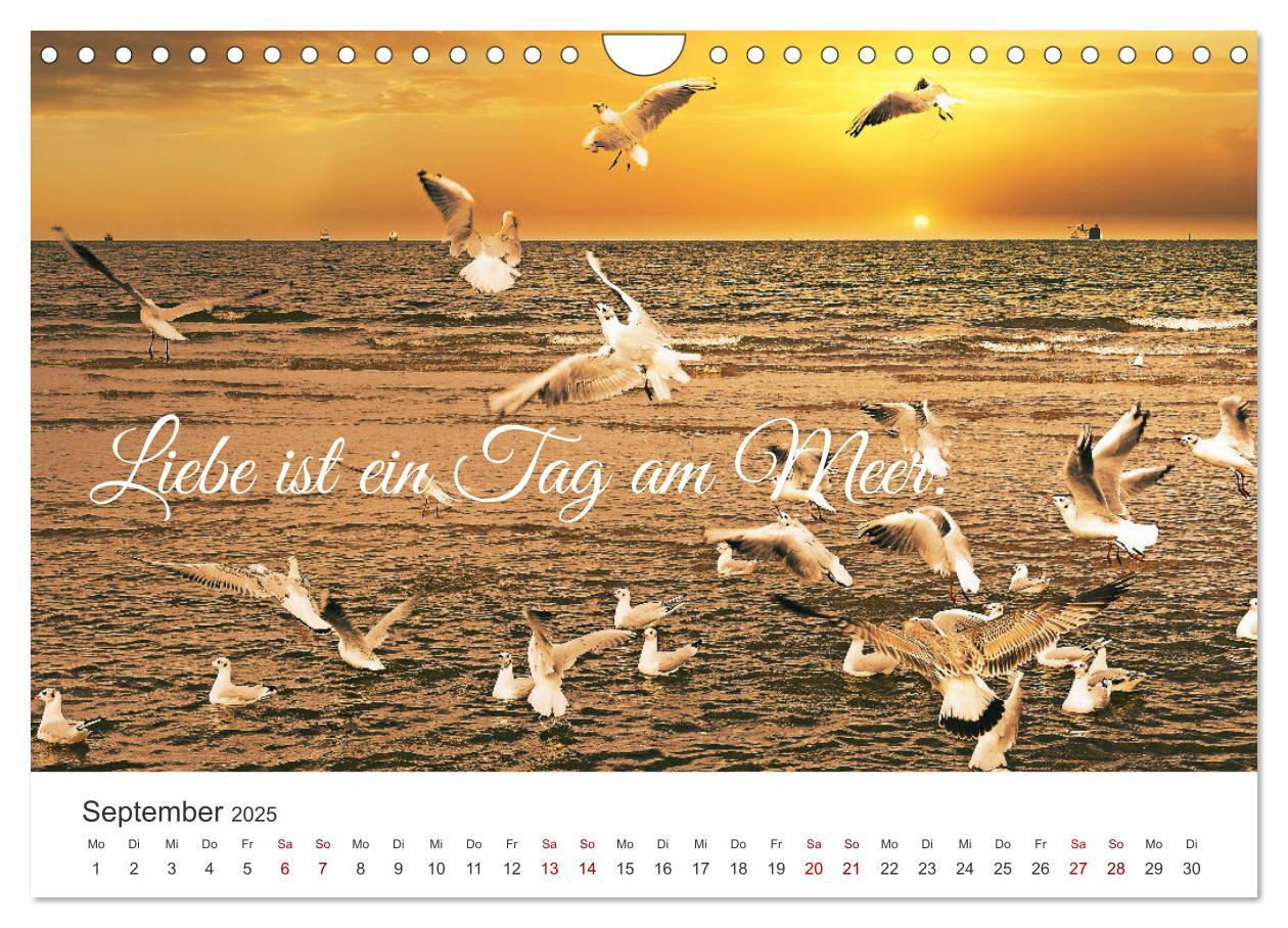 Bild: 9783383920684 | Lass uns ans Meer fahren (Wandkalender 2025 DIN A4 quer), CALVENDO...