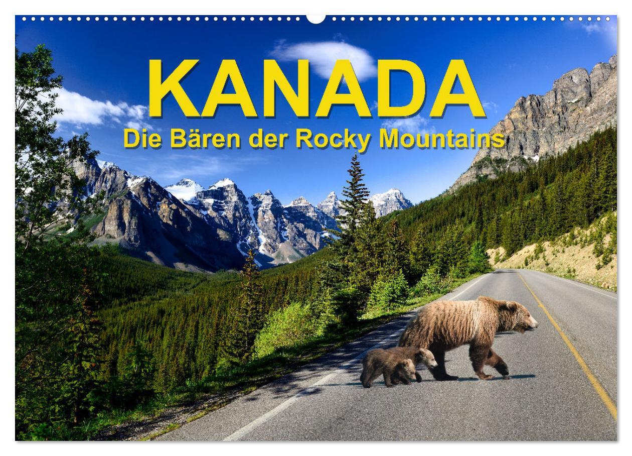 Cover: 9783383887390 | KANADA - Die Bären der Rocky Mountains (Wandkalender 2025 DIN A2...