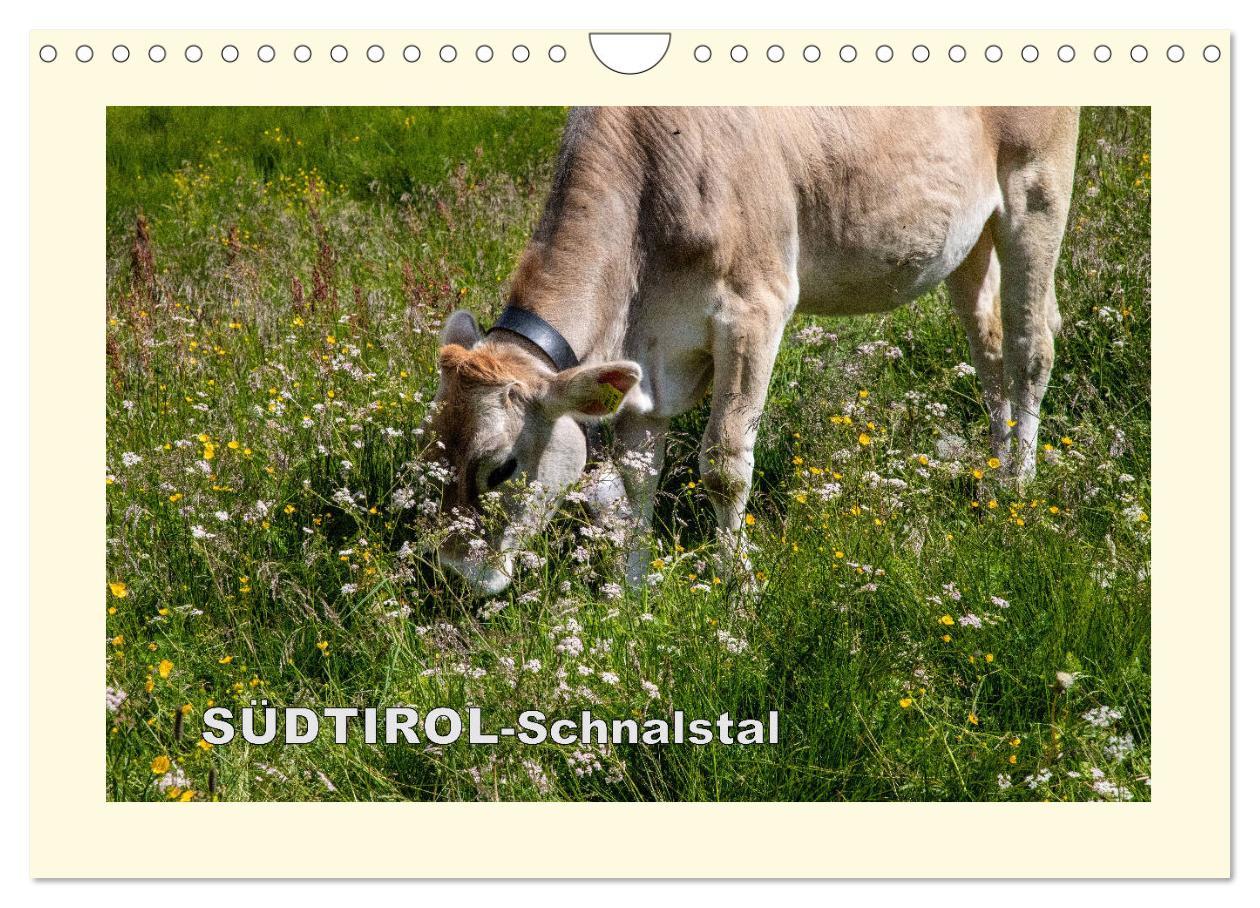 Cover: 9783435306855 | SÜDTIROL-Schnalstal (Wandkalender 2025 DIN A4 quer), CALVENDO...