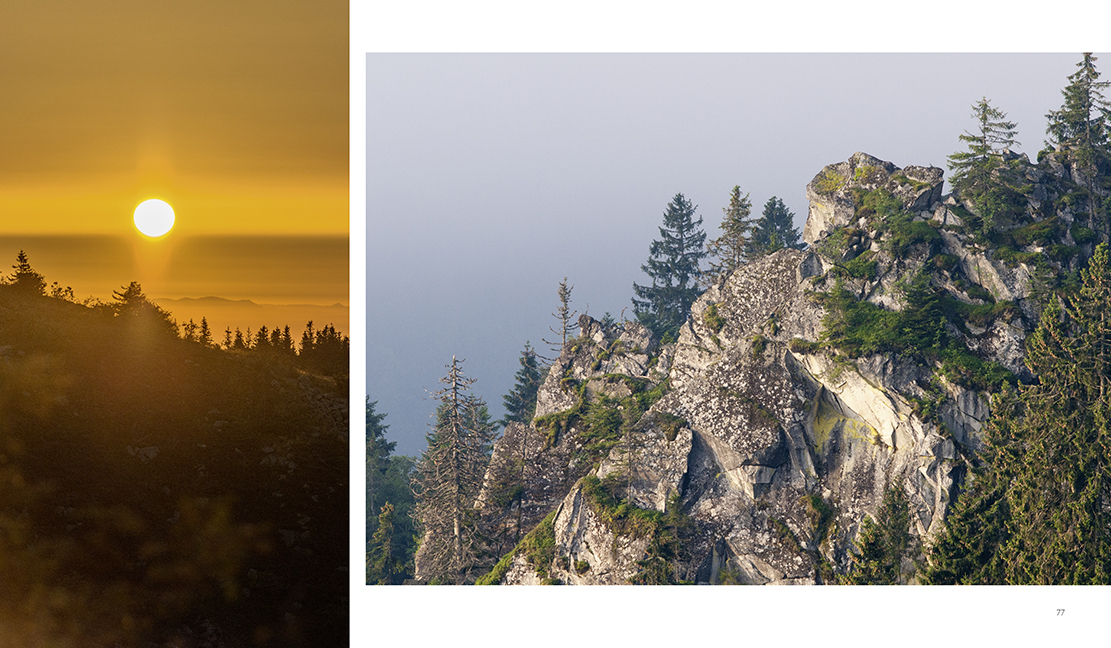 Bild: 9783981088274 | NATURERLEBNIS VOGESEN | Ursprüngliches Mittelgebirge | Hufler (u. a.)