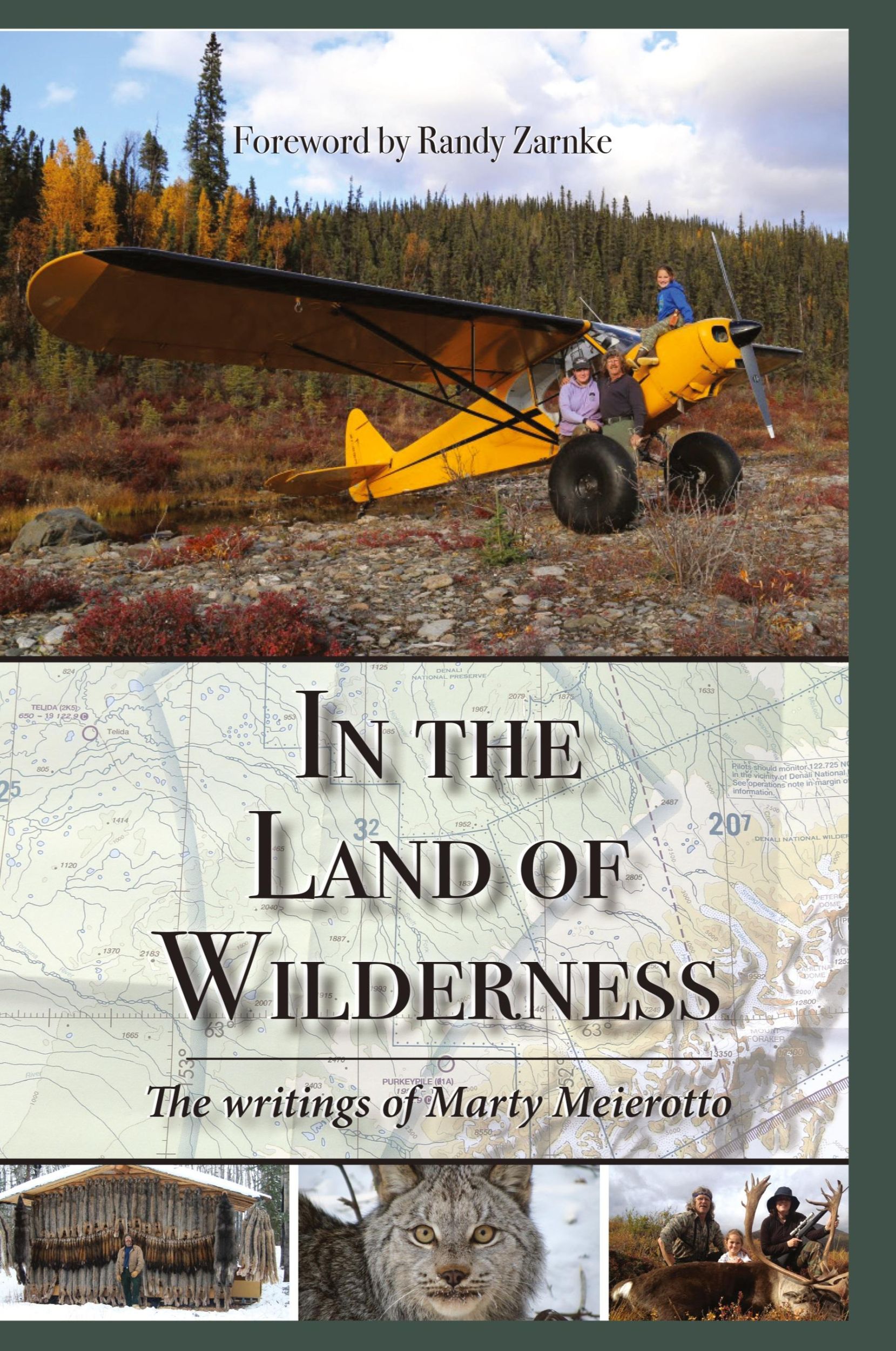 Cover: 9781637470435 | In the Land of Wilderness | The writings of Marty Meierotto | Buch