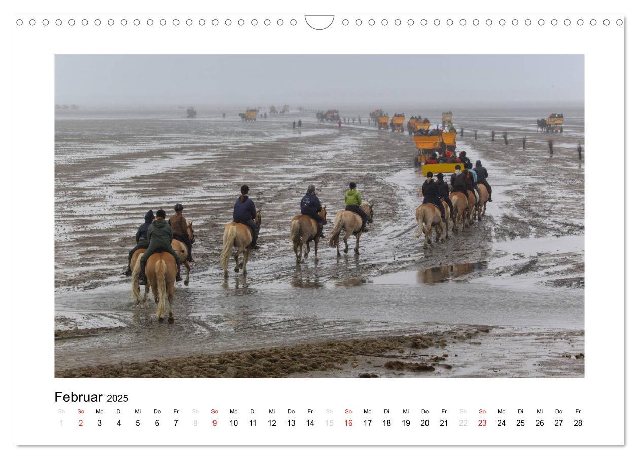 Bild: 9783435709670 | Die schöne Insel Neuwerk (Wandkalender 2025 DIN A3 quer), CALVENDO...