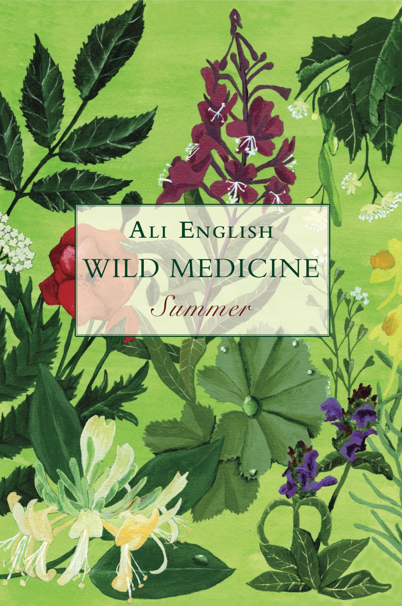 Cover: 9781911597674 | Wild Medicine, Summer | Summer | Ali English | Taschenbuch | Englisch