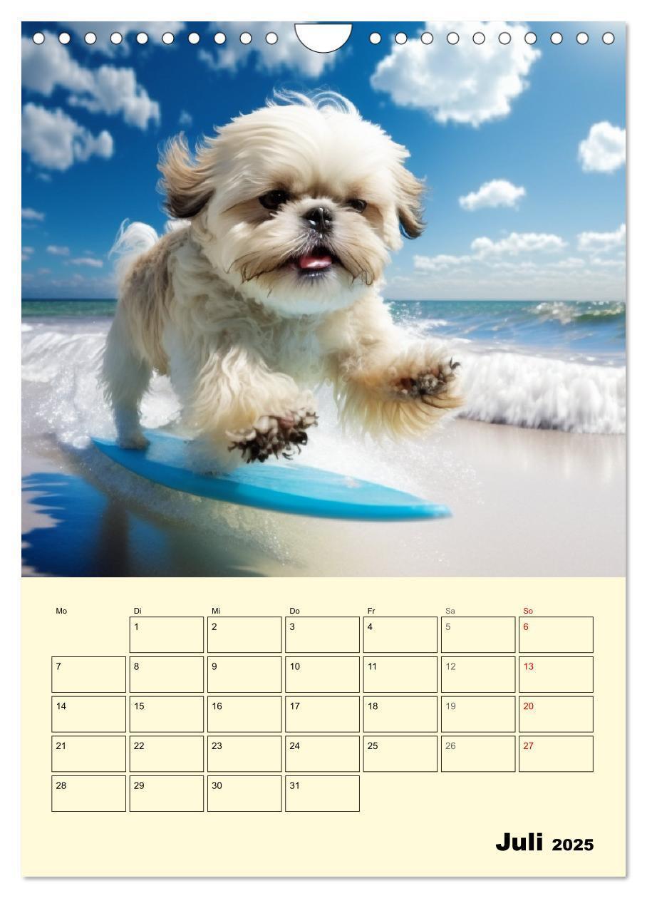 Bild: 9783435869749 | Shih Tzu Alarm. Glückliche Wuschelköpfe (Wandkalender 2025 DIN A4...