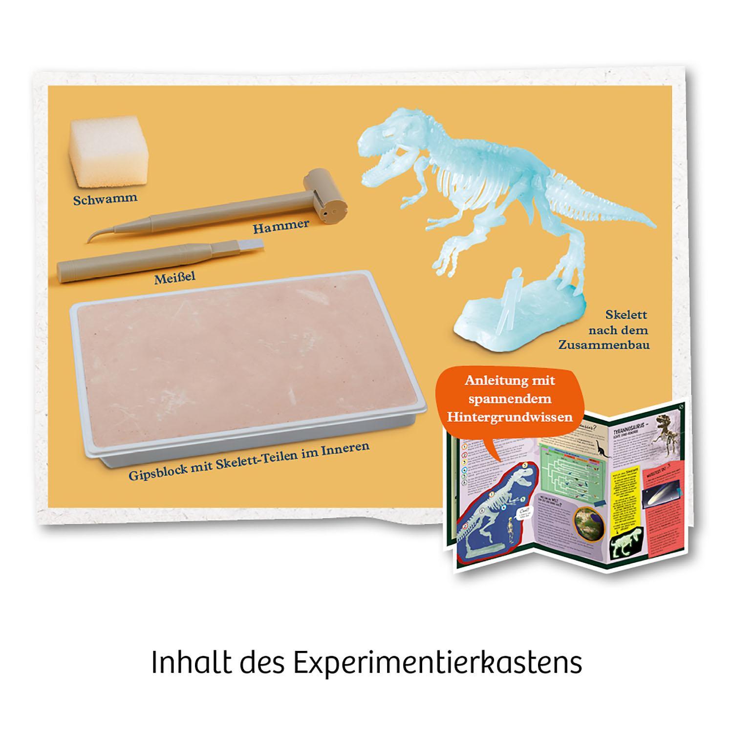 Bild: 4002051658021 | Nachtleuchtender T-REX | Ausgrabungs-Set | Spiel | 658021 | Deutsch