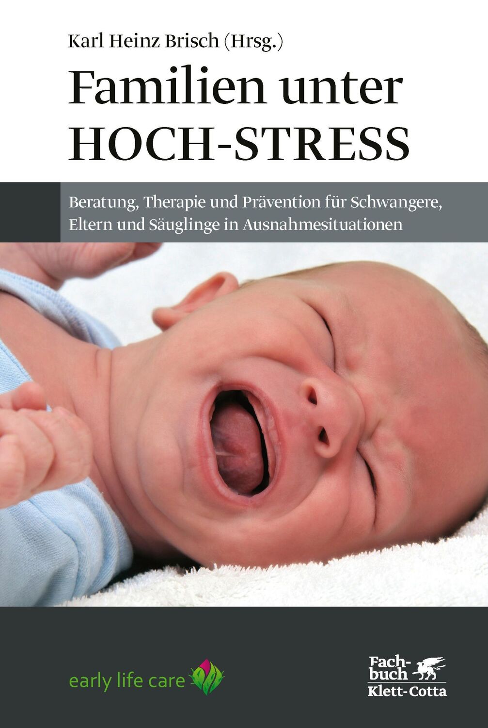 Cover: 9783608963892 | Familien unter Hoch-Stress | Karl Heinz Brisch | Taschenbuch | 213 S.