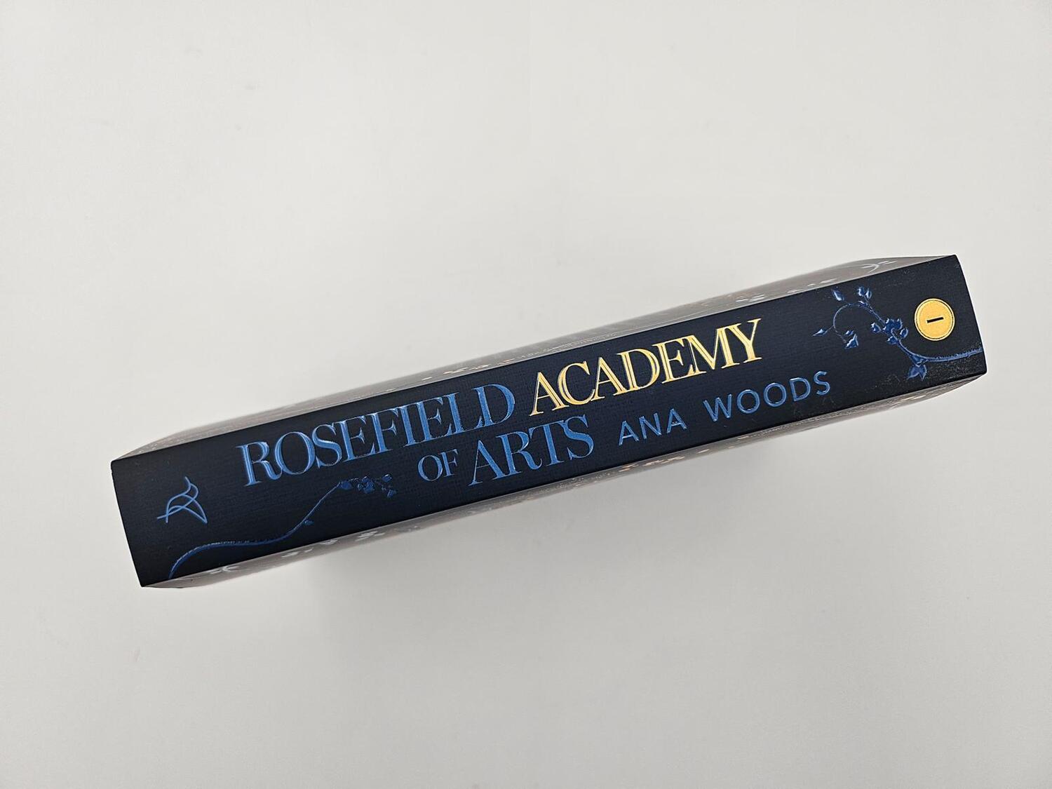 Bild: 9783492064477 | Rosefield Academy of Arts - The Secrets We Keep | Ana Woods | Buch