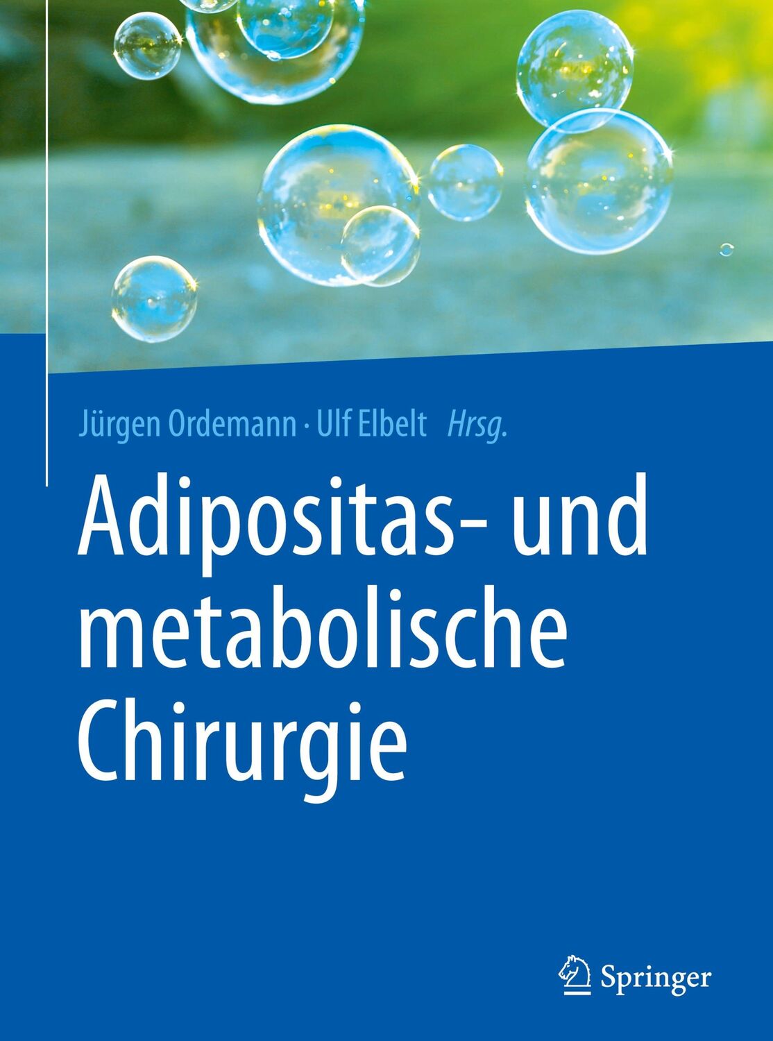 Cover: 9783662486979 | Adipositas- und metabolische Chirurgie | Jürgen Ordemann (u. a.) | XII