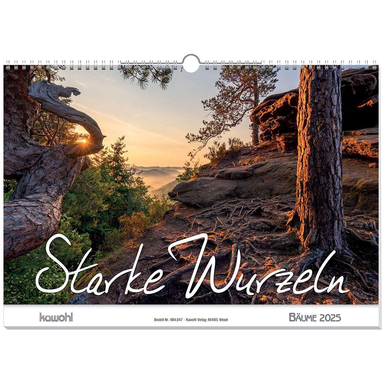 Cover: 9783754804759 | Starke Wurzeln 2025 | Bäume, Maße (B/H): 49 x 34 cm | Kalender | 13 S.