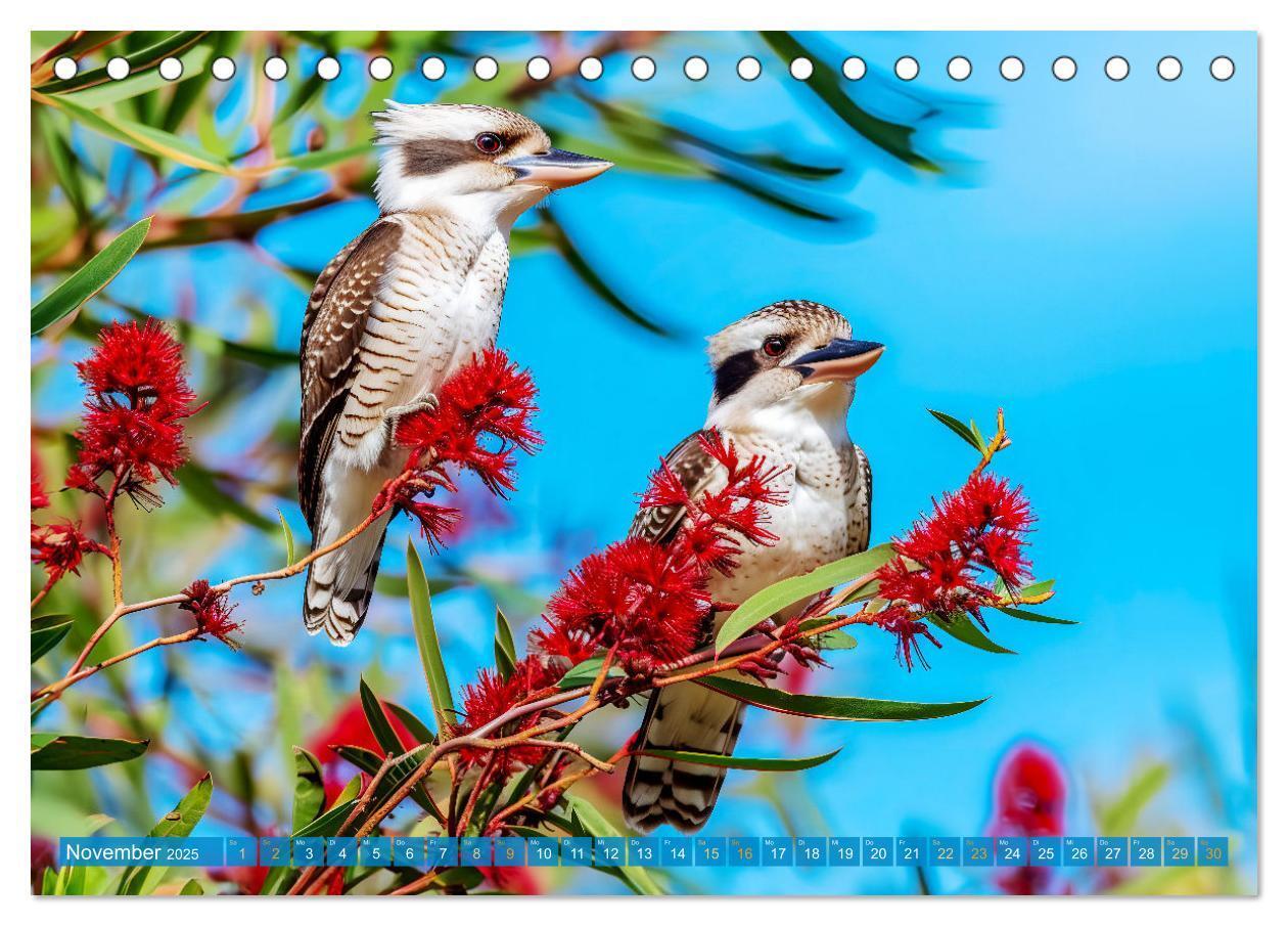 Bild: 9783383777936 | Der Kookaburra - Im australischen Busch mit dem lachenden Hans...