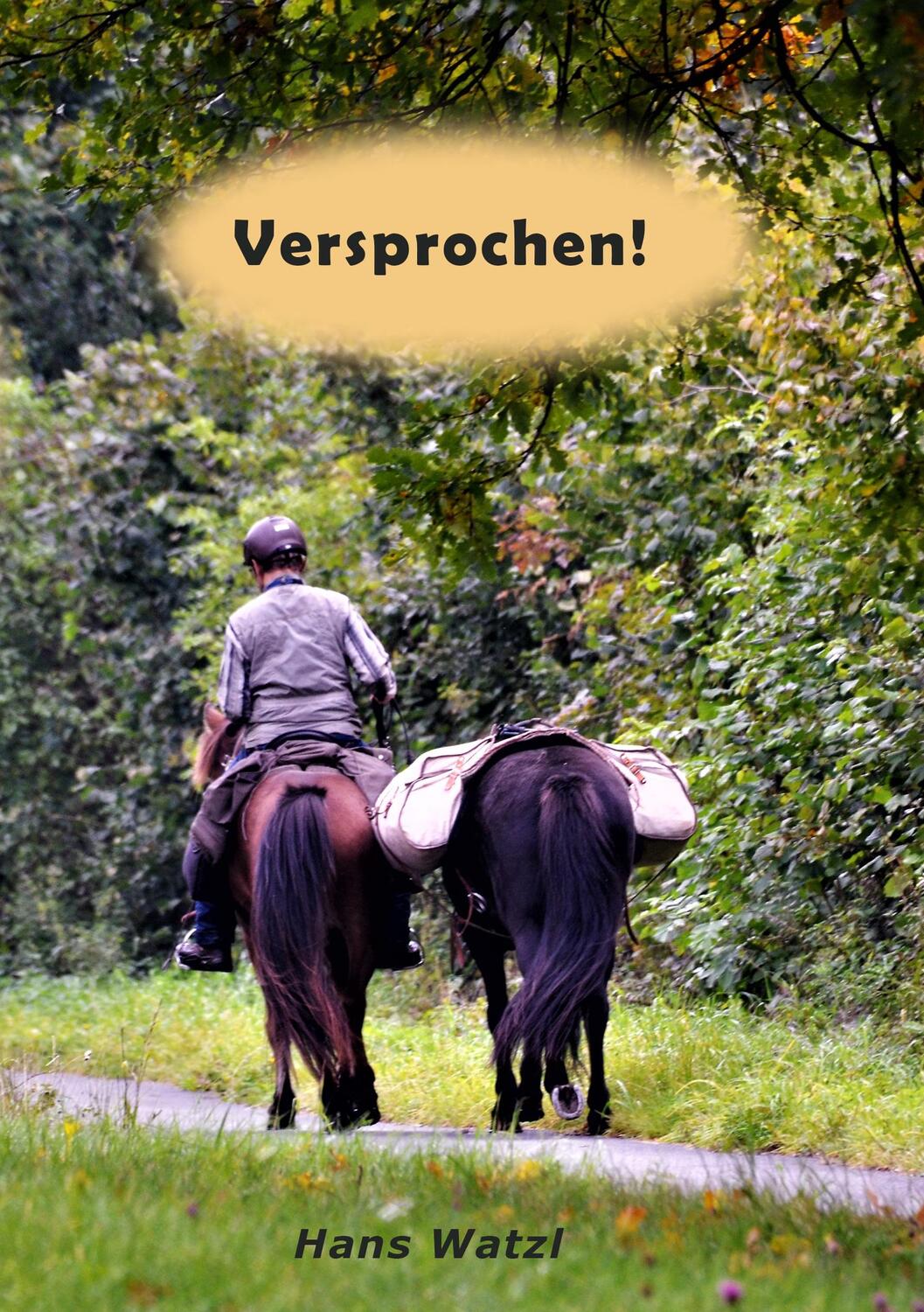 Cover: 9783944464893 | Versprochen! | Hans Watzl | Taschenbuch | Paperback | Deutsch | 2019