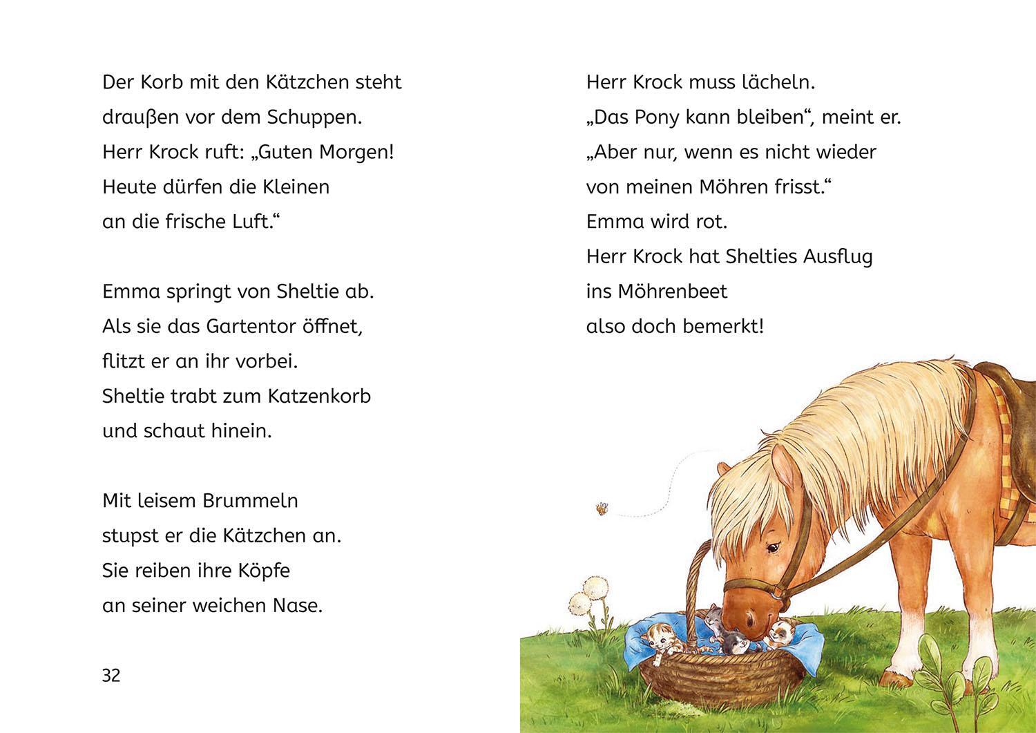 Bild: 9783440178317 | Sheltie, Bücherhelden 1. Klasse, Sheltie und die Katzenbabys | Kessel