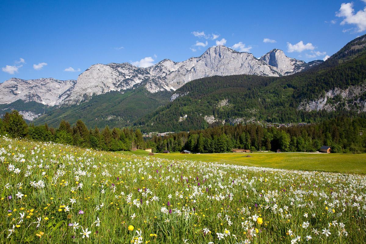 Bild: 9783950376197 | NATURJUWEL SALZKAMMERGUT | Bekannte und verborgene Schätze | Buch