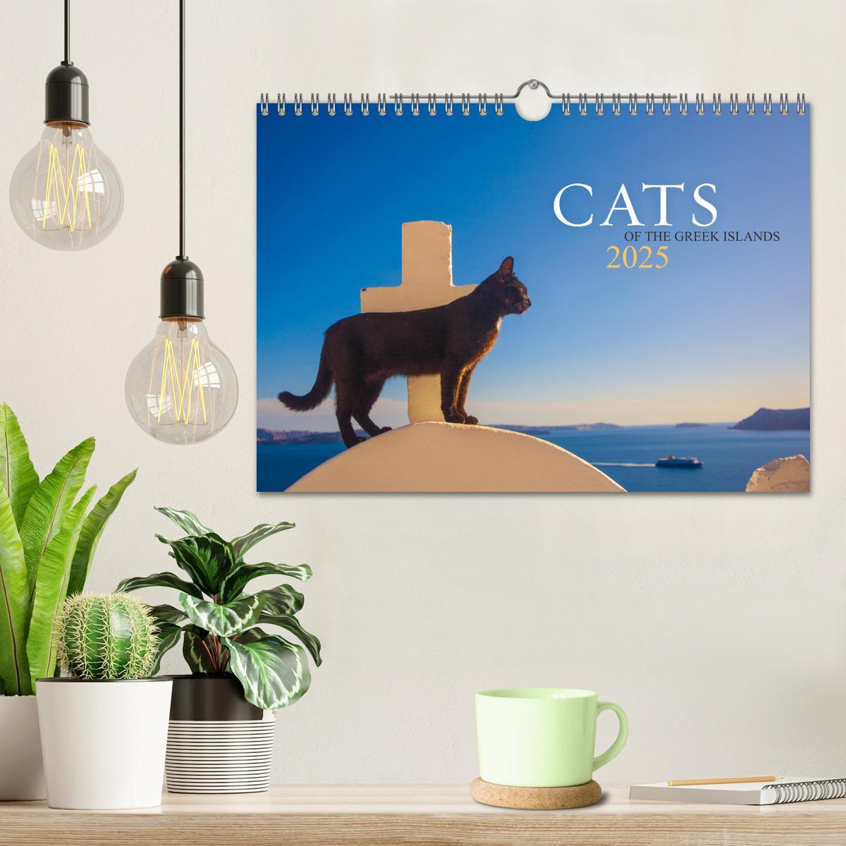 Bild: 9781325837526 | Cats of the Greek Islands (Wall Calendar 2025 DIN A4 landscape),...