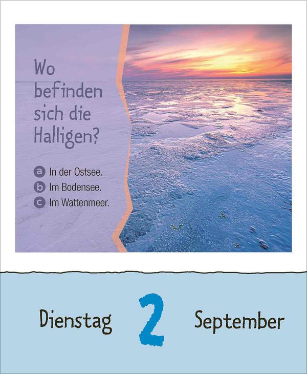 Bild: 9783731877394 | Kinderwissen 2025 | Verlag Korsch | Kalender | 328 S. | Deutsch | 2025