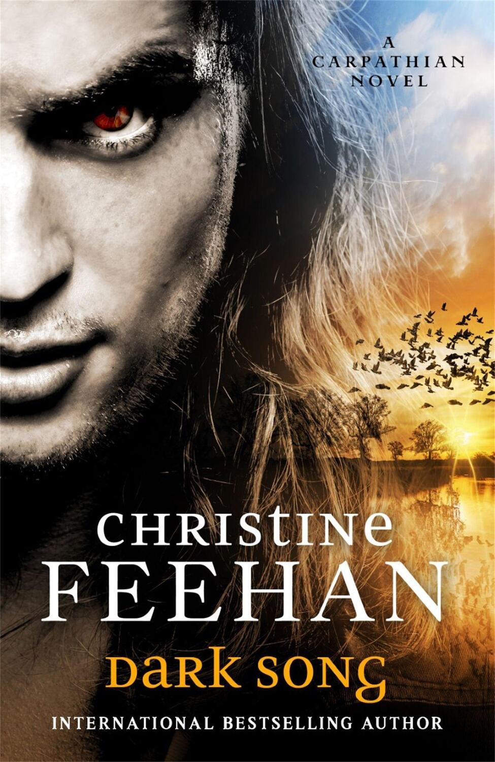 Cover: 9780349426778 | Dark Song | Christine Feehan | Taschenbuch | Kartoniert / Broschiert