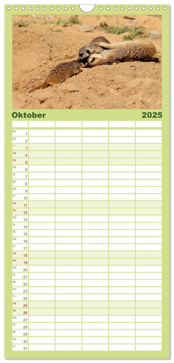 Bild: 9783457121375 | Familienplaner 2025 - Erdmännchen mit 5 Spalten (Wandkalender, 21 x...