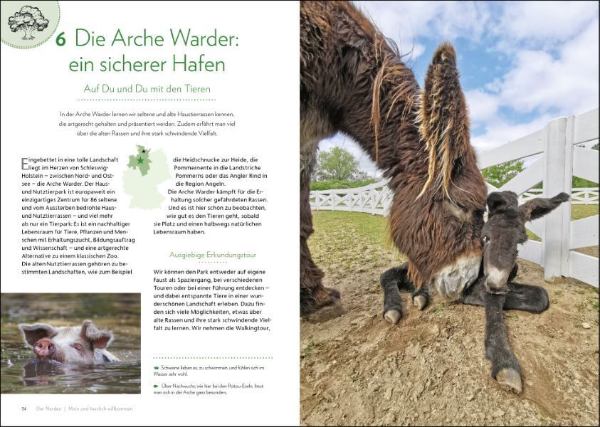 Bild: 9783734321634 | Natürlich Deutschland! | Regine Heue | Taschenbuch | 240 S. | Deutsch