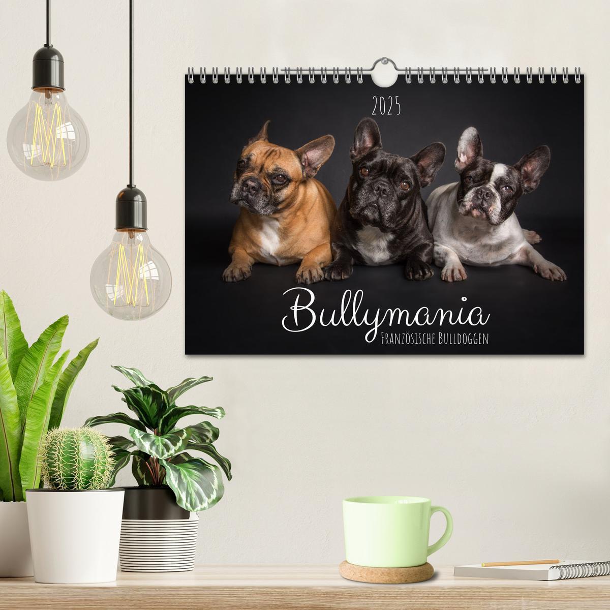 Bild: 9783435031191 | Bullymania - Französische Bulldoggen (Wandkalender 2025 DIN A4...