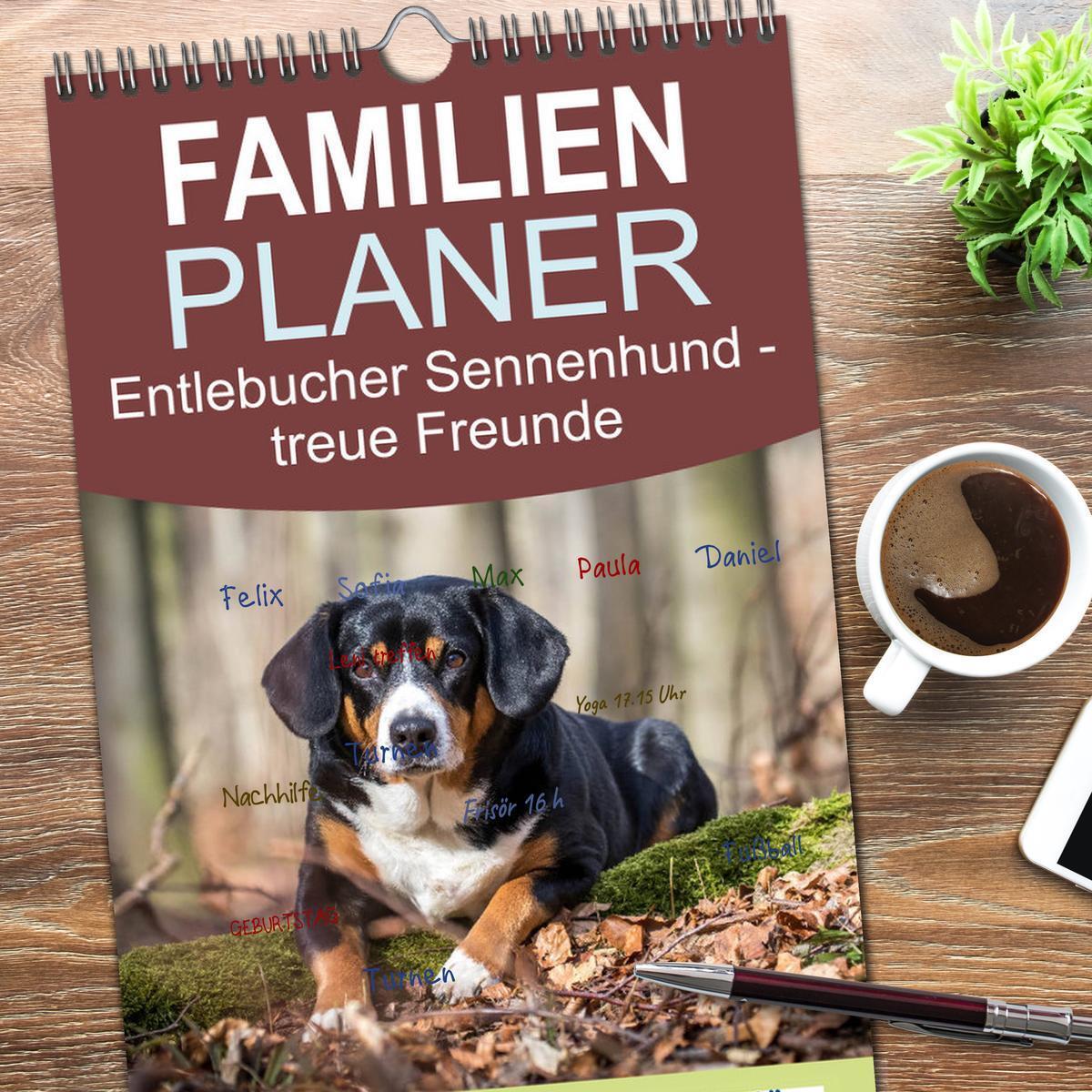 Bild: 9783457114582 | Familienplaner 2025 - Entlebucher Sennenhund - treue Freunde mit 5...