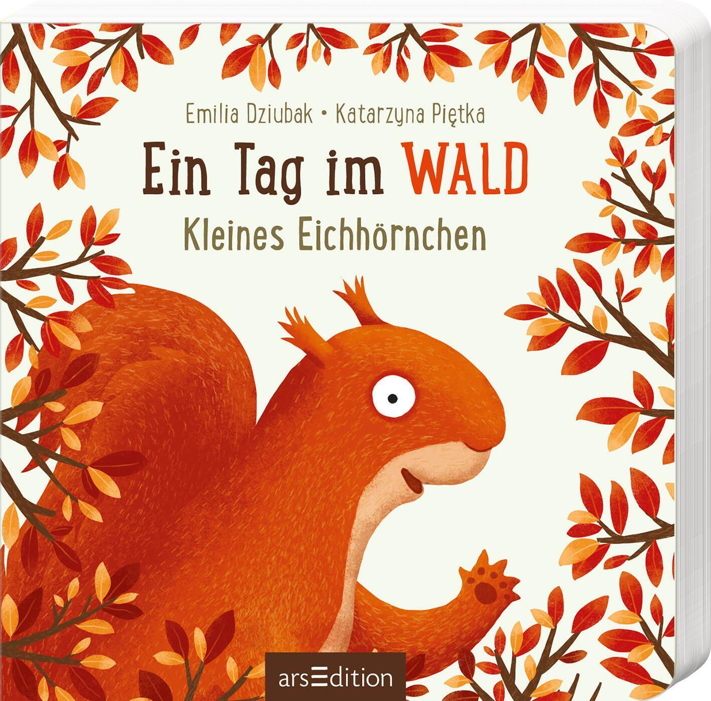 Cover: 9783845855240 | Ein Tag im Wald: Kleines Eichhörnchen | Buch | Pappebuch | 30 S.