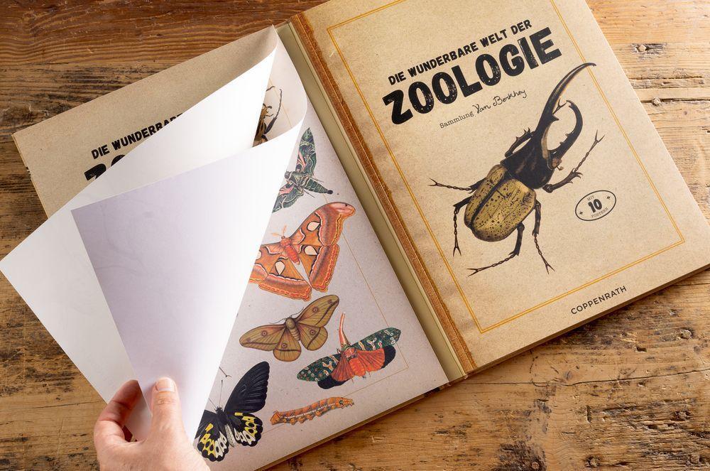 Bild: 9783649643777 | Die wunderbare Welt der Zoologie | Eine illustrierte Naturkunde | Buch