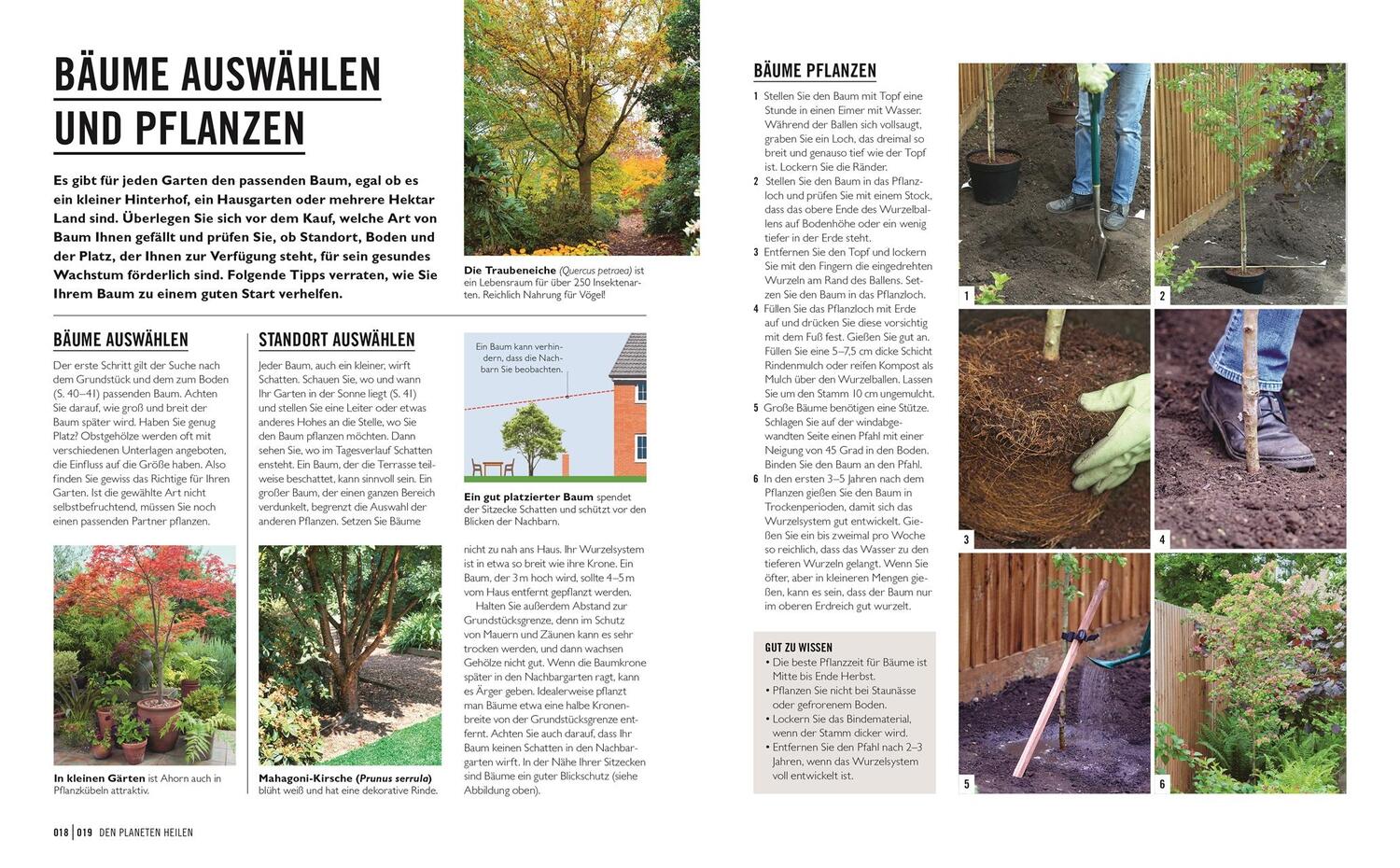 Bild: 9783831043910 | Grünes Gartenwissen. Ökologisch gärtnern | Zia Allaway | Taschenbuch