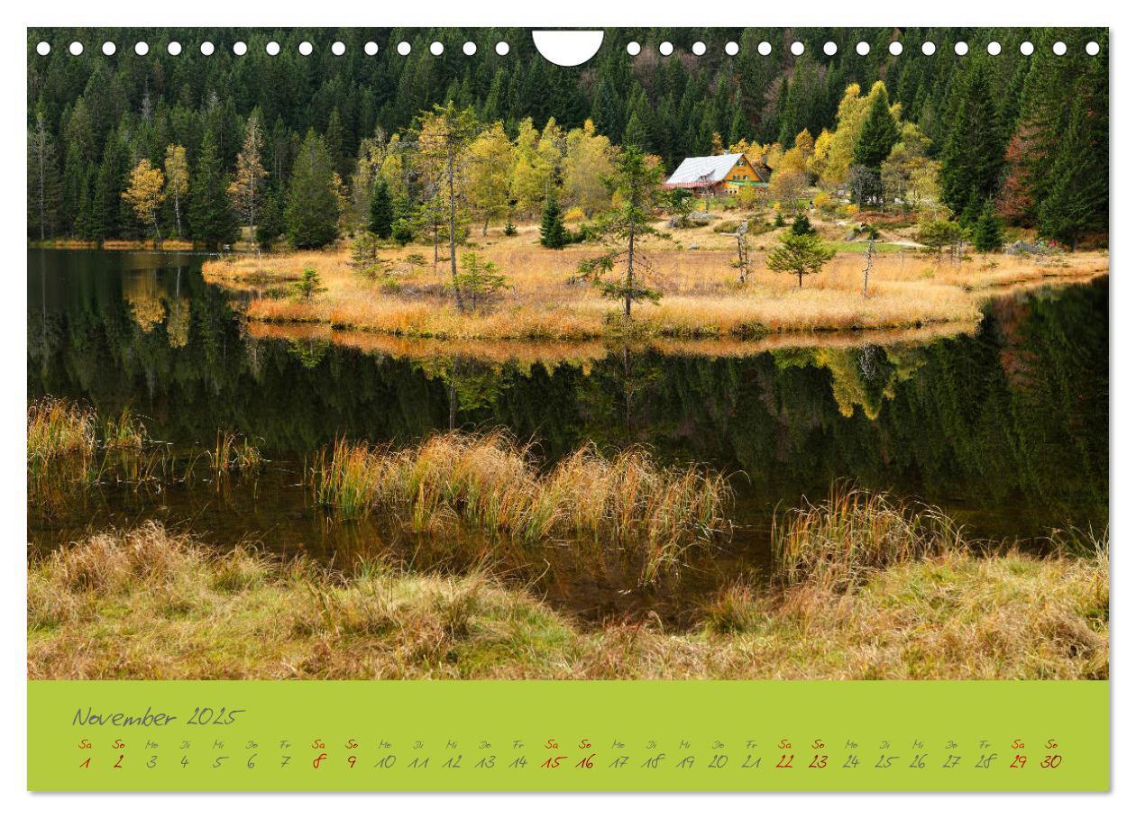 Bild: 9783435194247 | Der Bayerische Wald (Wandkalender 2025 DIN A4 quer), CALVENDO...