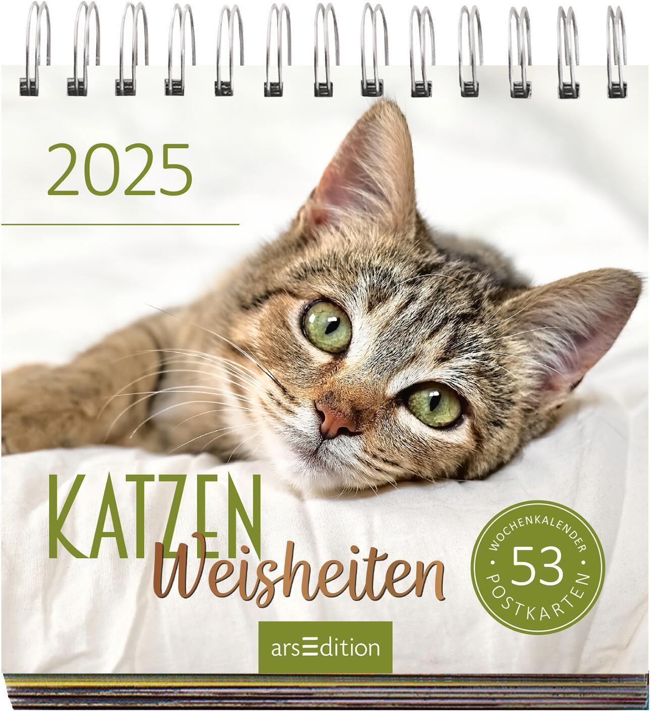 Bild: 4014489132721 | Postkartenkalender Katzenweisheiten 2025 | Kalender | Spiralaufsteller