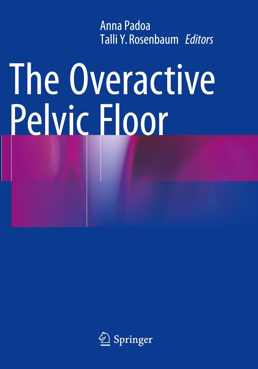 Cover: 9783319793795 | The Overactive Pelvic Floor | Talli Y. Rosenbaum (u. a.) | Taschenbuch