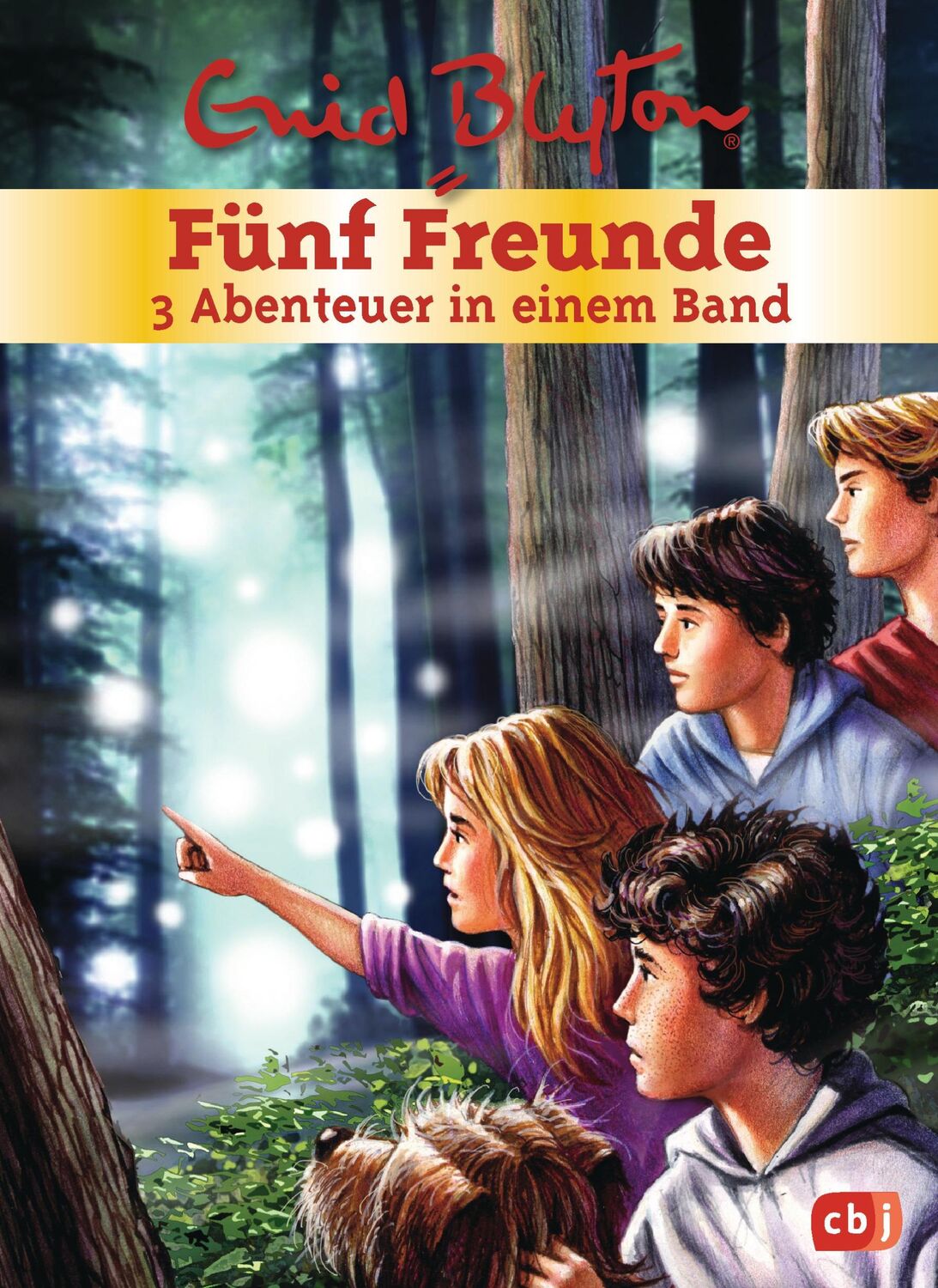 Cover: 9783570173121 | Fünf Freunde - 3 Abenteuer in einem Band | Enid Blyton | Buch | 462 S.