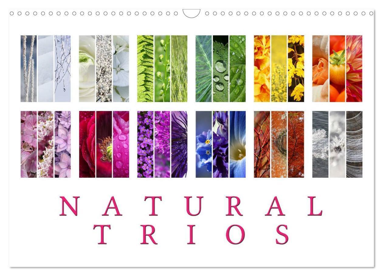 Cover: 9781325962907 | Natural Trios (Wall Calendar 2025 DIN A3 landscape), CALVENDO 12...