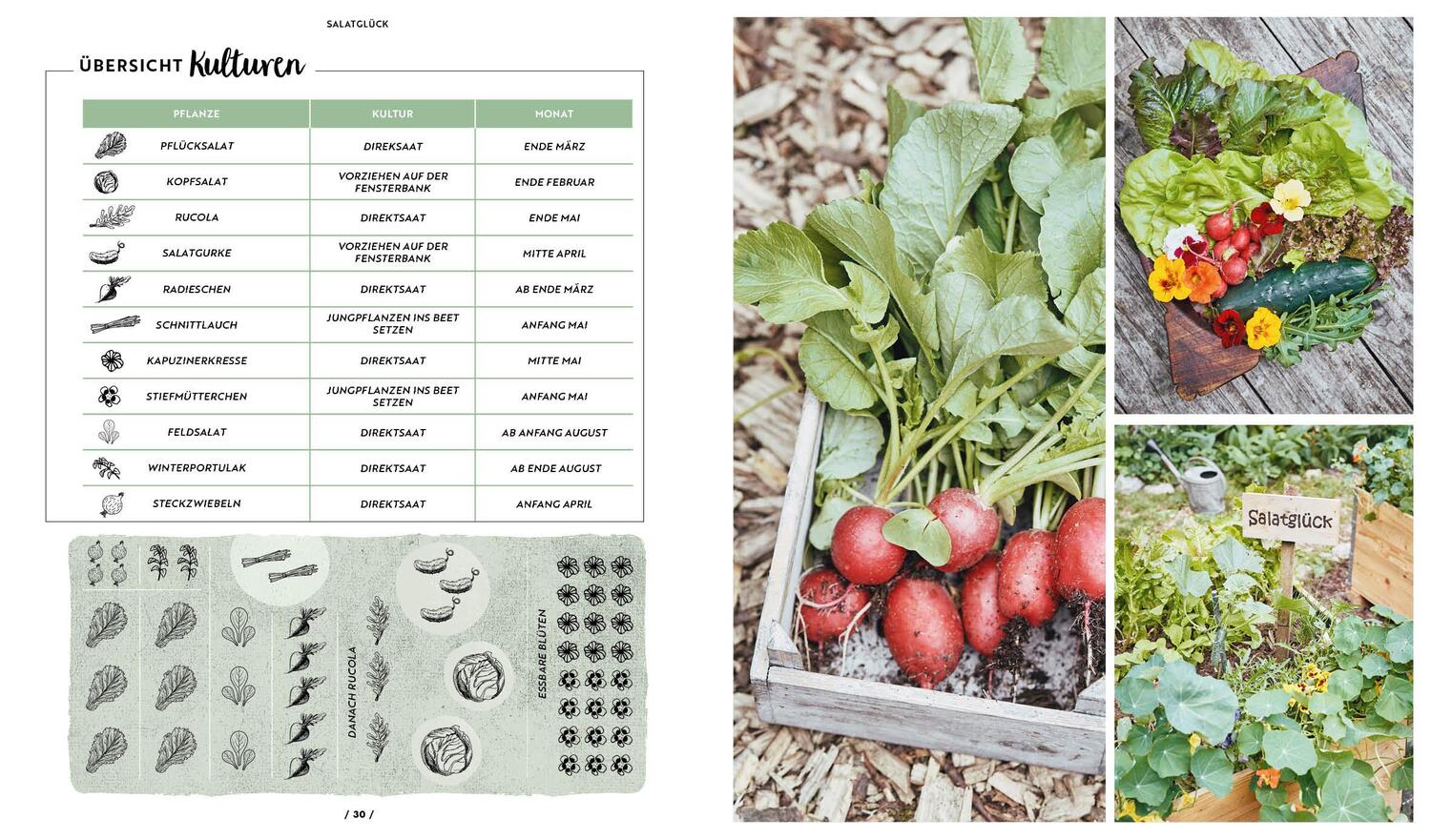 Bild: 9783960937142 | Mit dem Hochbeet durchs Jahr | Die Stadtgärtner | Buch | 128 S. | 2020