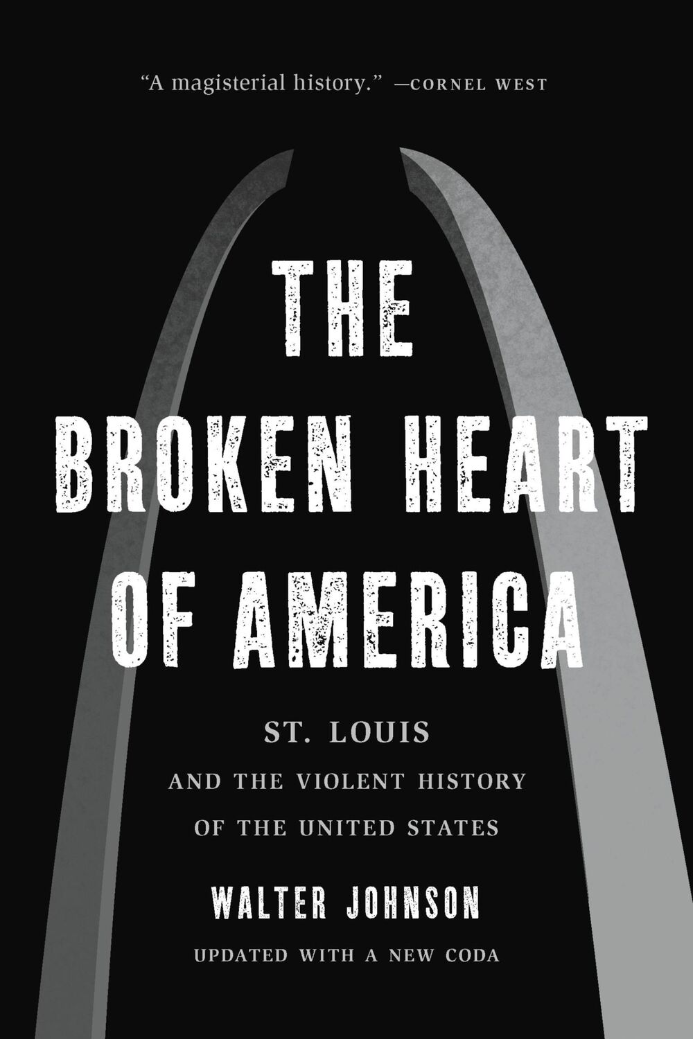 Cover: 9781541619586 | The Broken Heart of America | Walter Johnson | Taschenbuch | Englisch