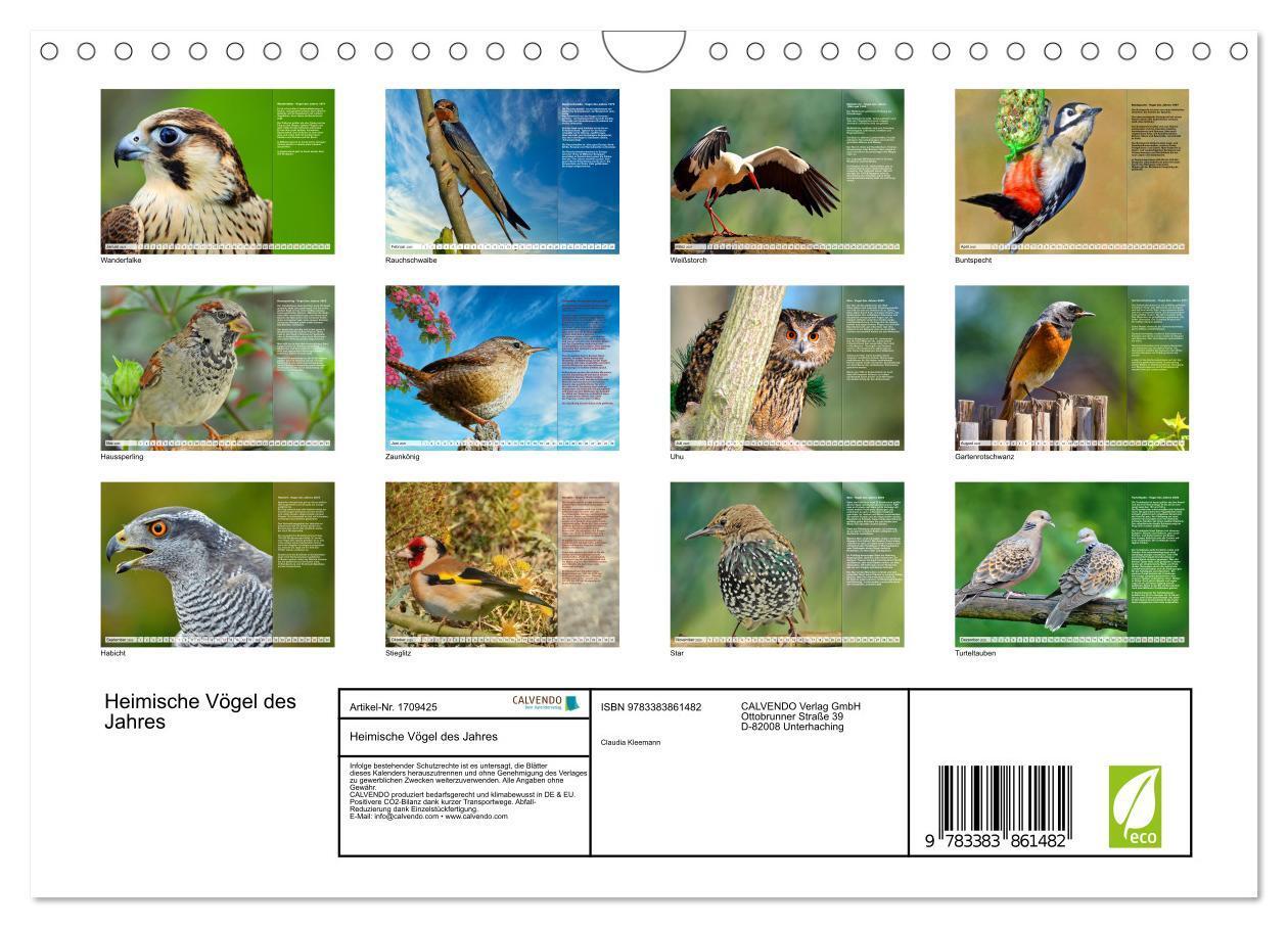 Bild: 9783383861482 | Heimische Vögel des Jahres (Wandkalender 2025 DIN A4 quer),...