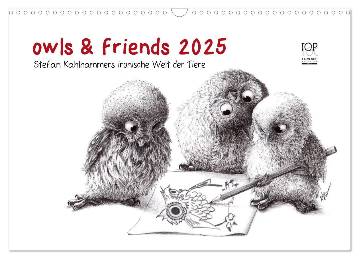 Cover: 9783435824830 | owls &amp; friends 2025 (Wandkalender 2025 DIN A3 quer), CALVENDO...