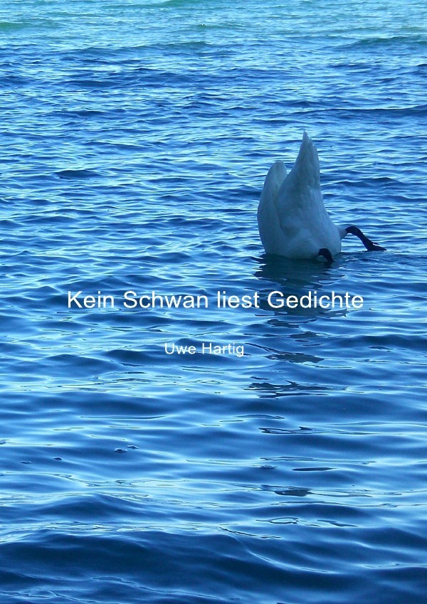 Cover: 9783844244830 | Kein Schwan liest Gedichte | Uwe Hartig | Taschenbuch | 36 S. | 2013