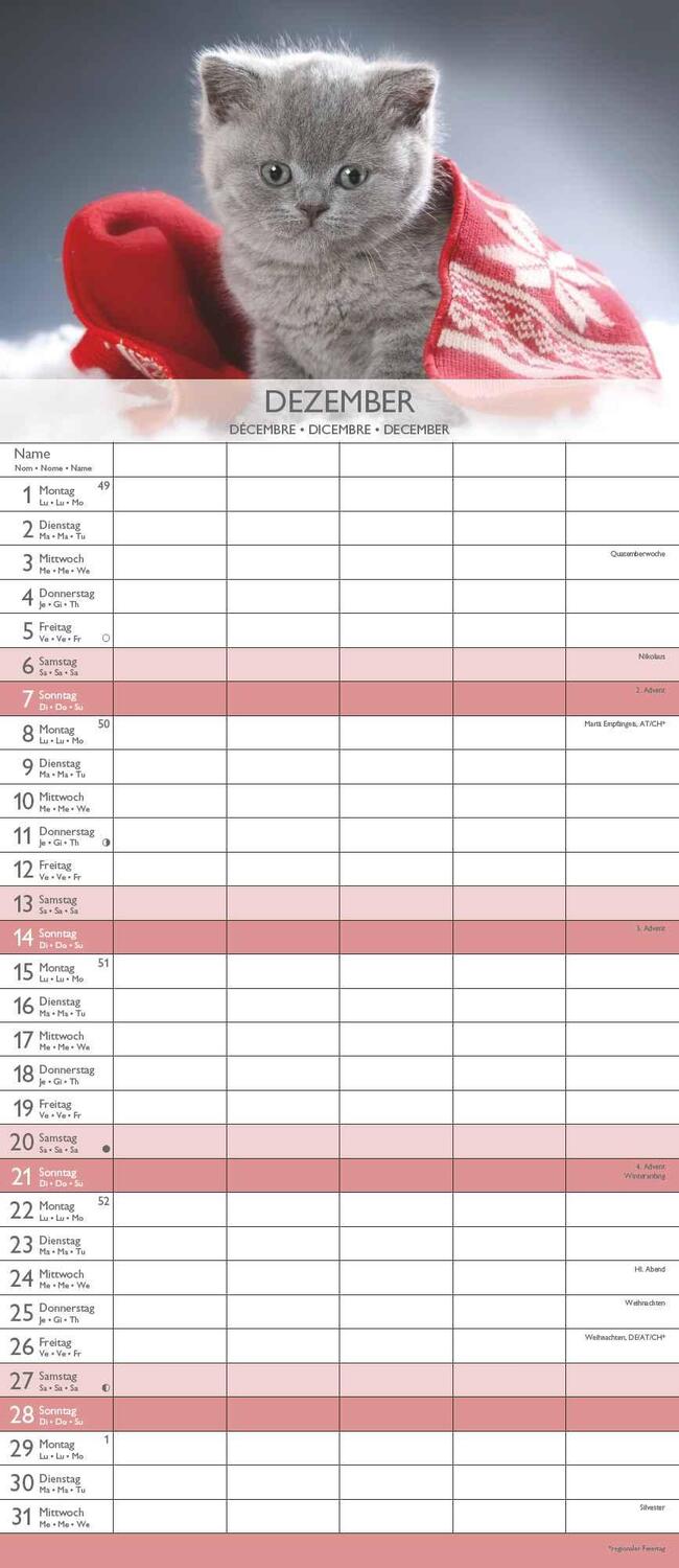 Bild: 4251732341381 | Kätzchen 2025 Familienplaner - Familienkalender - Wandkalender -...