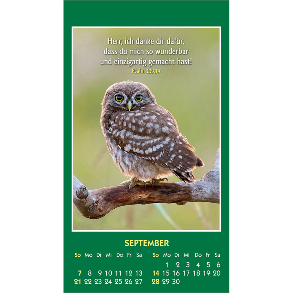 Bild: 9783754893555 | Hallo Du 2025 | Mini-Aufkleber-Kalender | Kalender | 14 S. | Deutsch