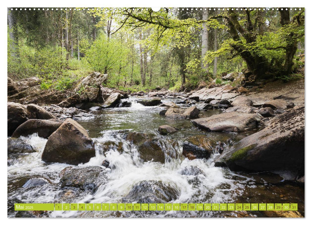 Bild: 9783435138821 | Eifel Sehnsucht (Wandkalender 2025 DIN A2 quer), CALVENDO...