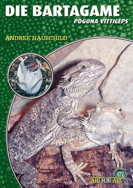 Cover: 9783937285207 | Die Bartagame | Pogona vitticeps | Andree Hauschild | Taschenbuch