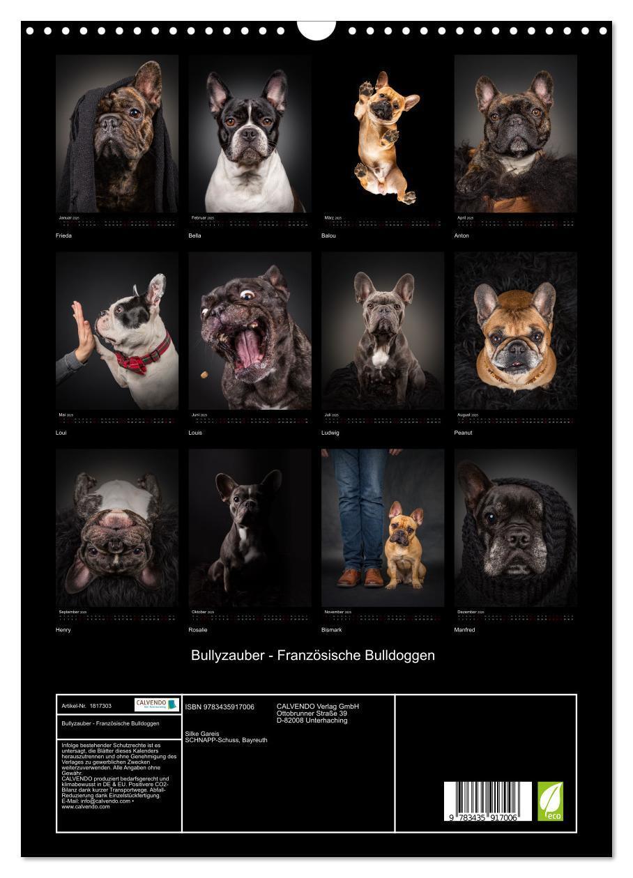 Bild: 9783435917006 | Bullyzauber - Französische Bulldoggen (Wandkalender 2025 DIN A3...