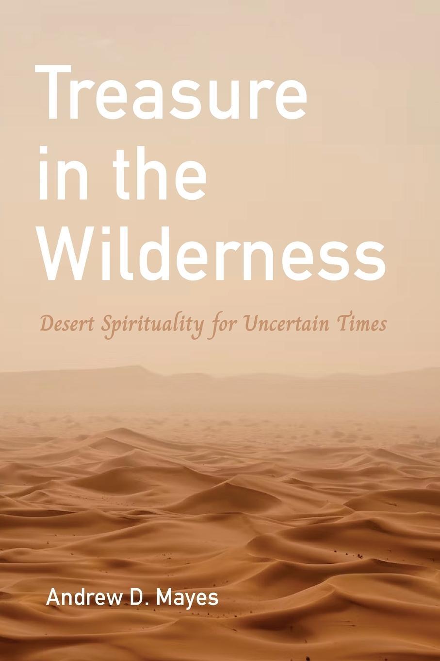 Cover: 9781666775211 | Treasure in the Wilderness | Andrew D. Mayes | Taschenbuch | Paperback