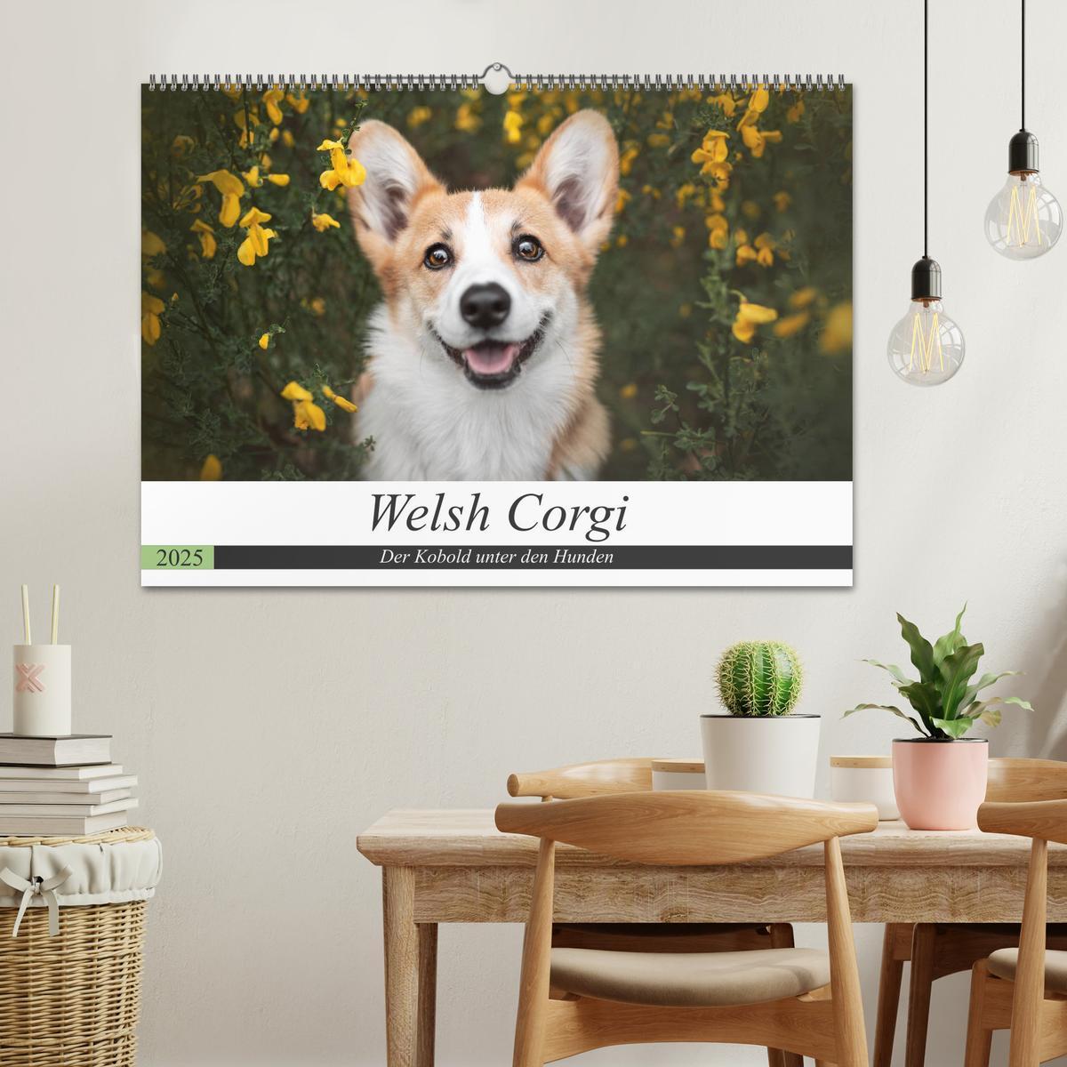 Bild: 9783435118281 | Welsh Corgi - Der Kobold unter den Hunden (Wandkalender 2025 DIN A2...