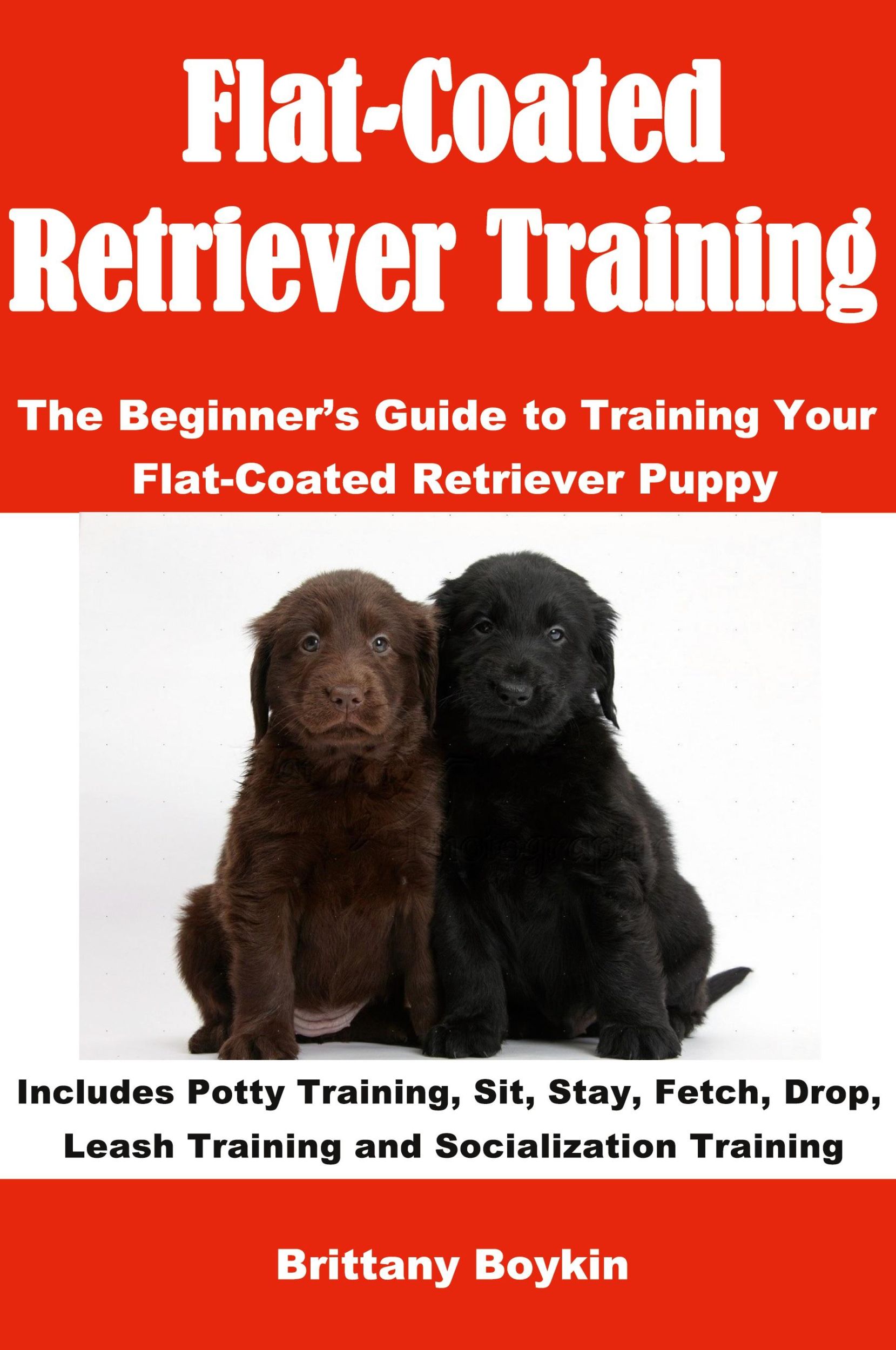 Cover: 9781948489799 | Flat-Coated Retriever Training | Brittany Boykin | Taschenbuch | 2017