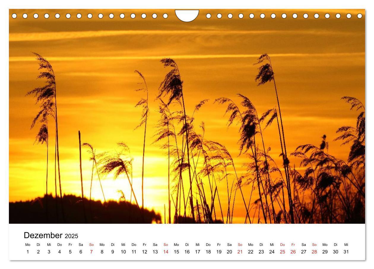 Bild: 9783435485390 | Hopfensee - Riviera des Allgäus (Wandkalender 2025 DIN A4 quer),...