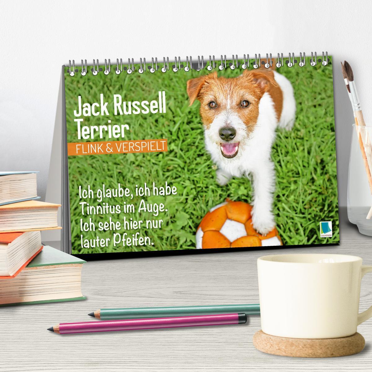 Bild: 9783457199855 | Jack Russell Terrier: flink und verspielt (Tischkalender 2025 DIN...