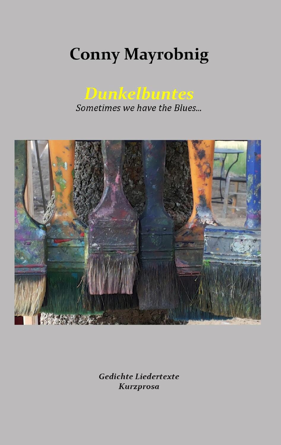 Cover: 9783741282683 | Dunkelbuntes | Sometimes we have the Blues ... | Conny Mayrobnig