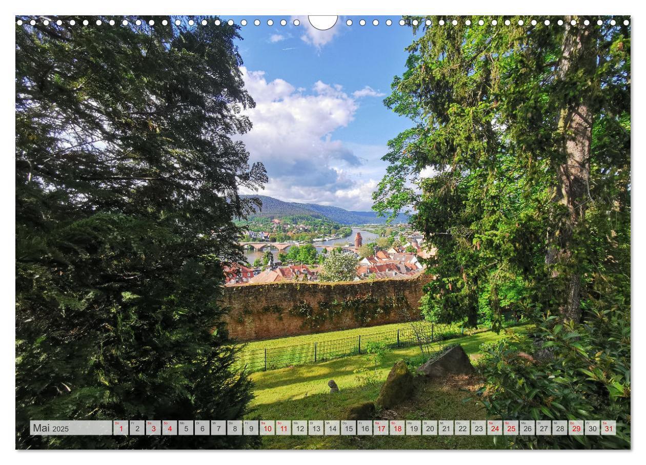 Bild: 9783435688173 | Miltenberg neu entdeckt (Wandkalender 2025 DIN A3 quer), CALVENDO...