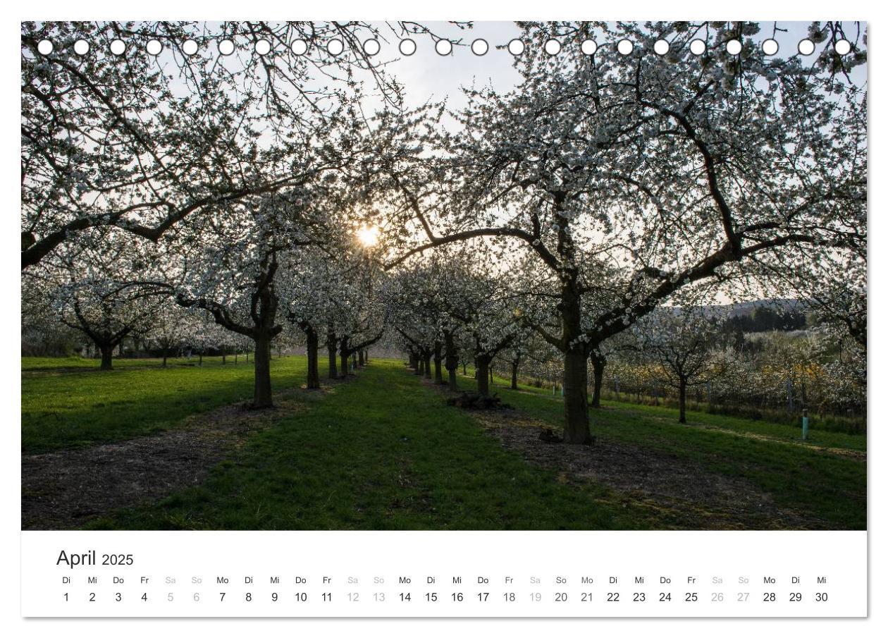 Bild: 9783435500970 | Du schönes Wiesbaden (Tischkalender 2025 DIN A5 quer), CALVENDO...